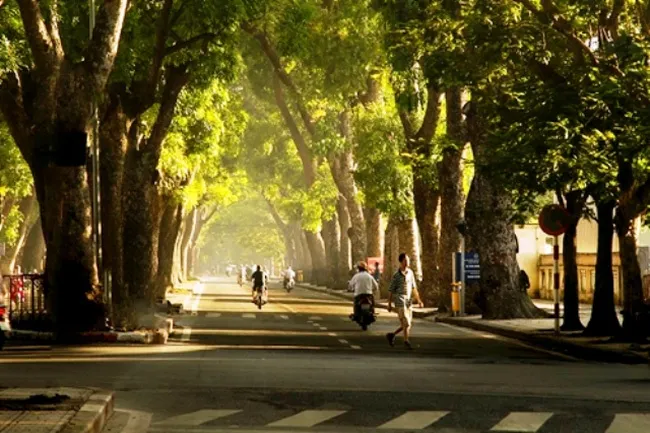 Dự báo thời tiết hôm nay 30/3: Hà Nội trời nắng, từ đêm mai trời chuyển lạnh