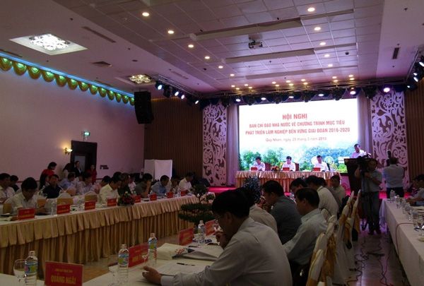 Phó Thủ tướng Trịnh Đình Dũng chủ trì Hội nghị về phát triển lâm nghiệp
