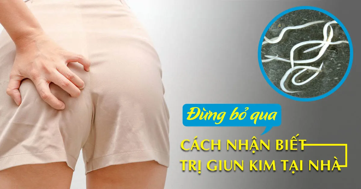 Dấu hiệu nhận biết bị nhiễm giun kim và cách điều trị