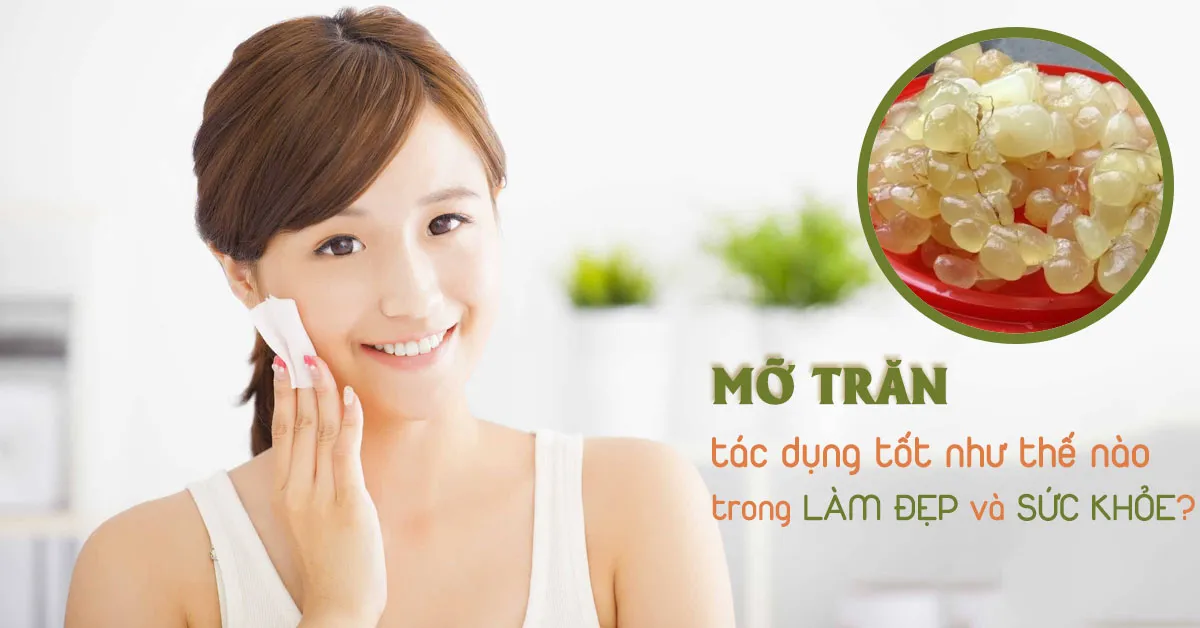 Mỡ trăn có tác dụng gì cho sức khỏe, làn da?