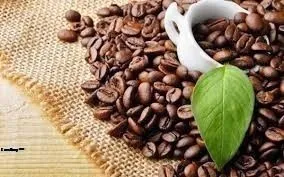 Giá cà phê hôm nay 3/4/2019: Giảm nhẹ 100 đồng/kg sau phiên lao dốc mạnh hôm qua