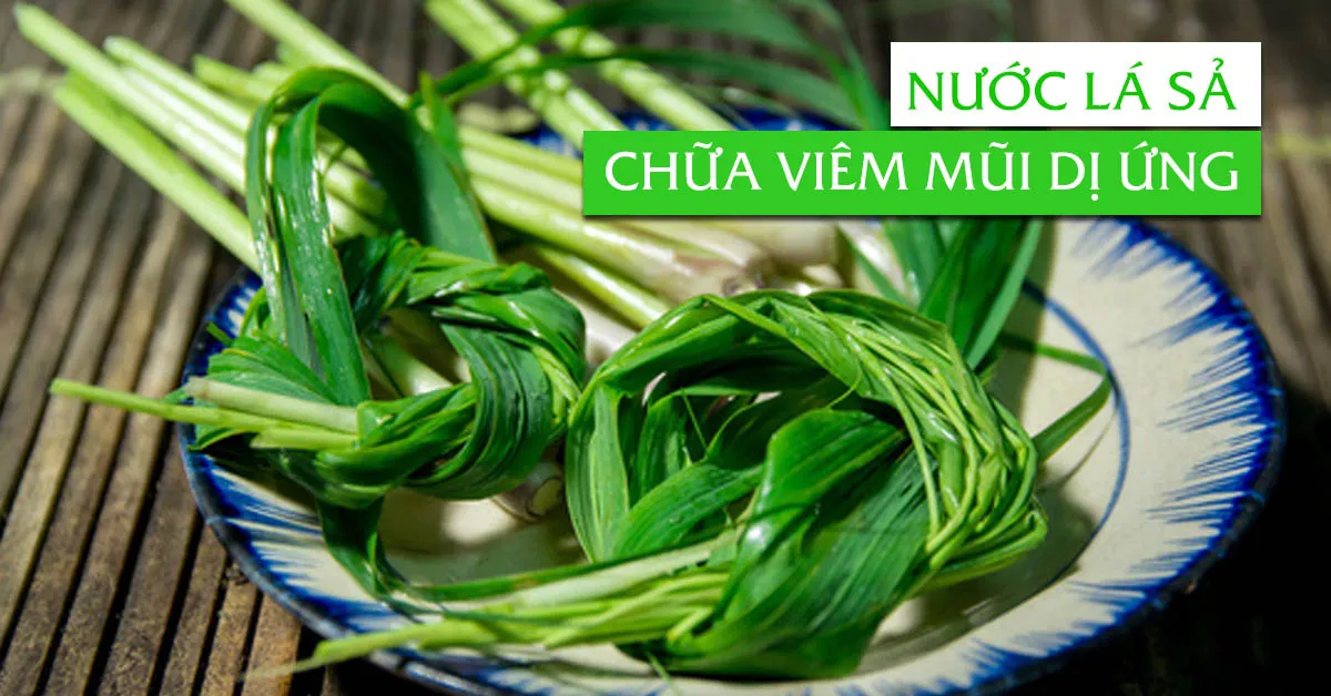 Cách chữa viêm mũi dị ứng tại nhà bằng nước lá sả