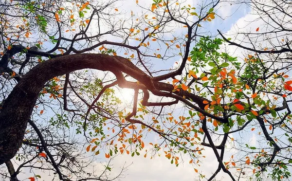 Dự báo thời tiết hôm nay 5/4: Nam bộ ngày nắng, chiều tối có mưa