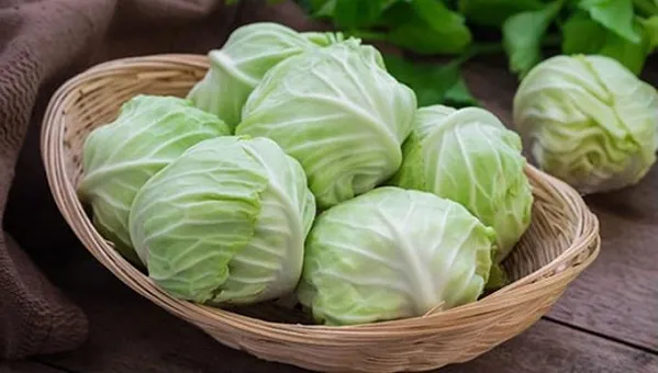 Giá cả thị trường hôm nay 8/4/2019: Bắp cải 15.000 đồng/kg