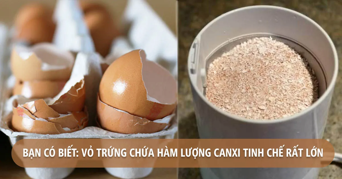 Bổ sung canxi từ bột vỏ trứng, bạn đã biết chưa?