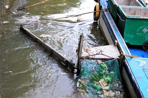 Giảm đàn cá kênh Nhiêu Lộc – Thị Nghè ngăn cá chết hàng loạt