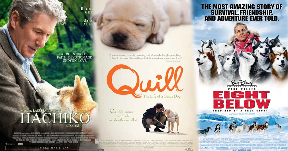 Phim về chó và những câu chuyện cảm động khiến ai cũng phải rơi nước mắt