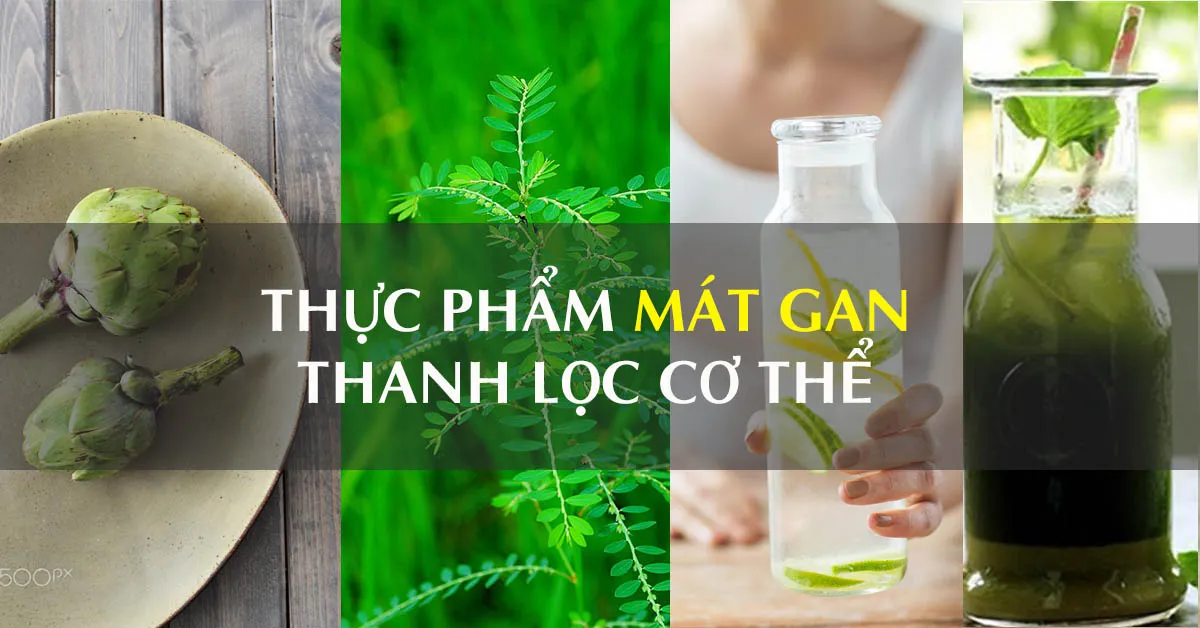 Bỏ túi 4 loại thực phẩm mát gan tự nhiên