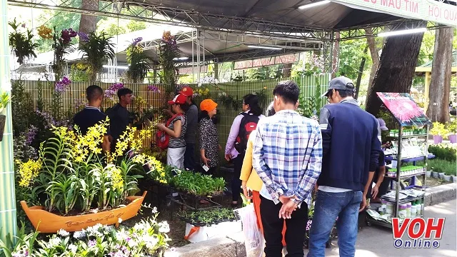 Rực rỡ sắc màu tại Festival Hoa lan TPHCM năm 2019