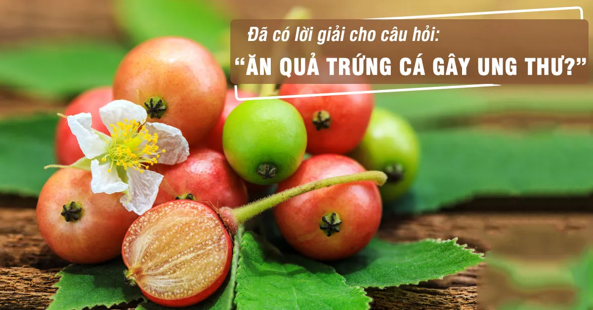 Tác dụng của quả trứng cá: có lợi hay có hại?