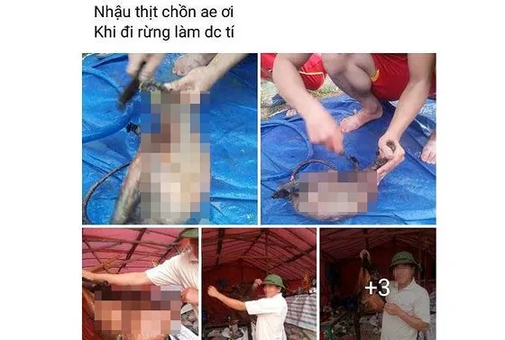 Xác minh vụ việc làm thịt chồn quý rồi đăng Facebook