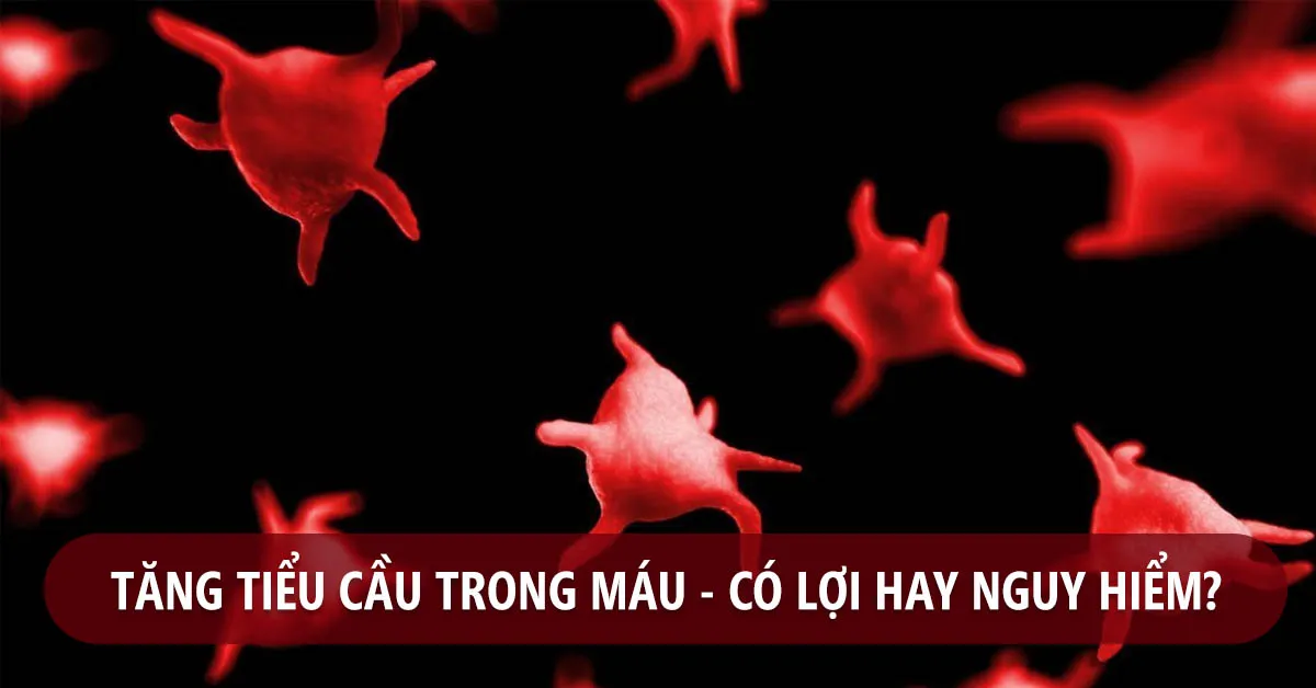 Tăng tiểu cầu có nguy hiểm không?