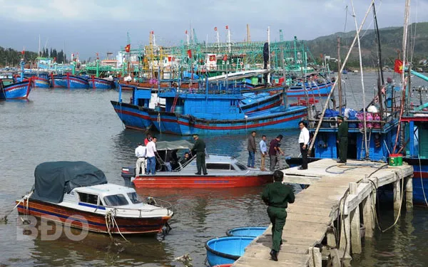 Tháo gỡ bất cập trong quản lý mua, bán, đăng kiểm, đăng ký tàu biển