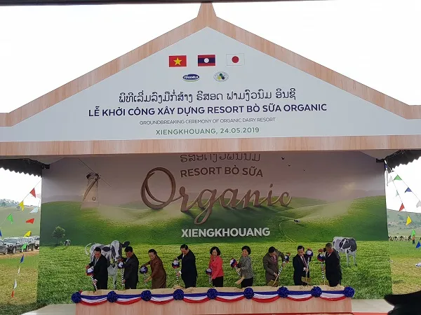 Khởi công xây dựng tổ hợp Resort bò sữa organic quy mô 5.000ha tại Lào