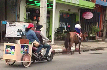 Học sinh lớp 2… cưỡi ngựa đi học