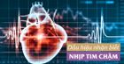 Nhịp tim chậm: Nguyên nhân và cách xử lý khi mắc bệnh