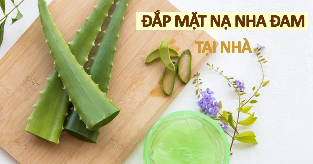 Cách đắp mặt nạ nha đam làm sáng da, trị mụn, chống lão hóa