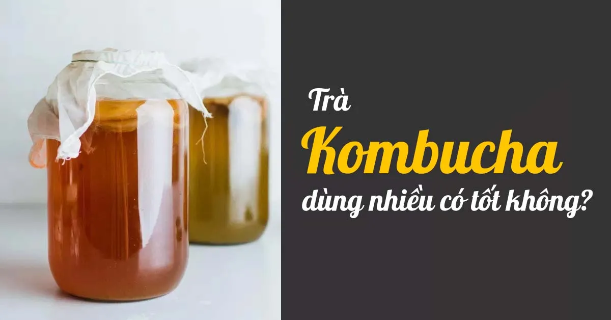 Kombucha là gì, dùng nhiều có tốt không?