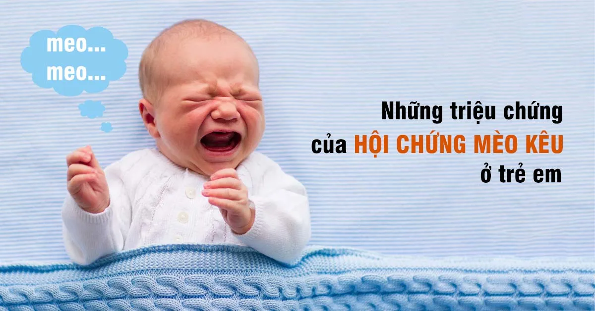 Hội chứng mèo kêu là gì, có dễ mắc phải không?