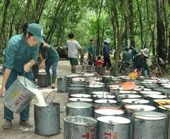 Giá cao su hôm nay 22/6/2019: Tiếp tục giảm do đồng JPY mạnh hơn so với USD