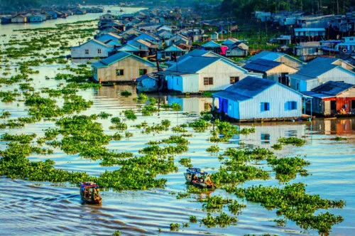 Thuận thiên cho thịnh vượng