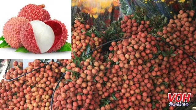 Trái cây, tin vui trước mắt