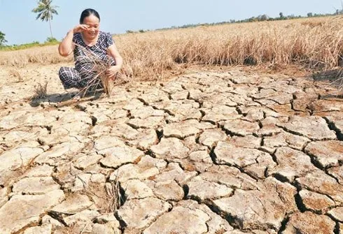 Thông tin 10 triệu ha đất có nguy cơ suy thoái, Thủ tướng yêu cầu nghiên cứu và đề xuất giải pháp