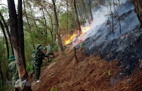 Nghệ An: Một người tử vong khi tham gia tiếp nước chữa cháy rừng