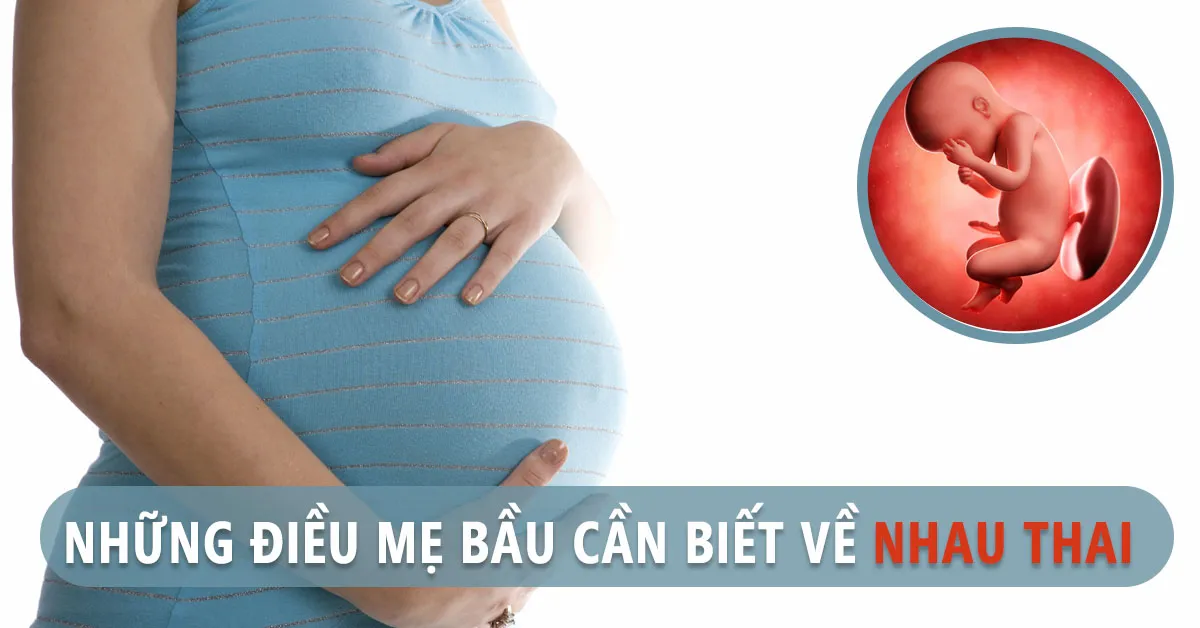 Nhau thai là gì? Mẹ bầu có thể gặp những vấn đề nào về nhau thai?