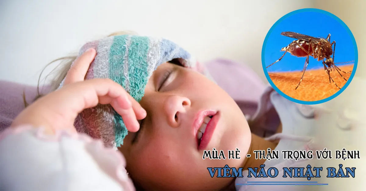 Bệnh viêm não Nhật Bản là gì, nguy hiểm như thế nào?