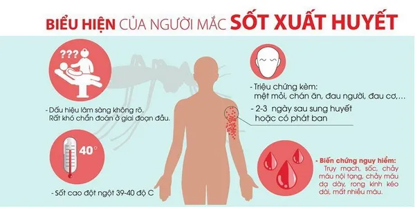 Bệnh sốt xuất huyết gia tăng ở các tỉnh phía Nam, làm gì để phòng chống hiệu quả?