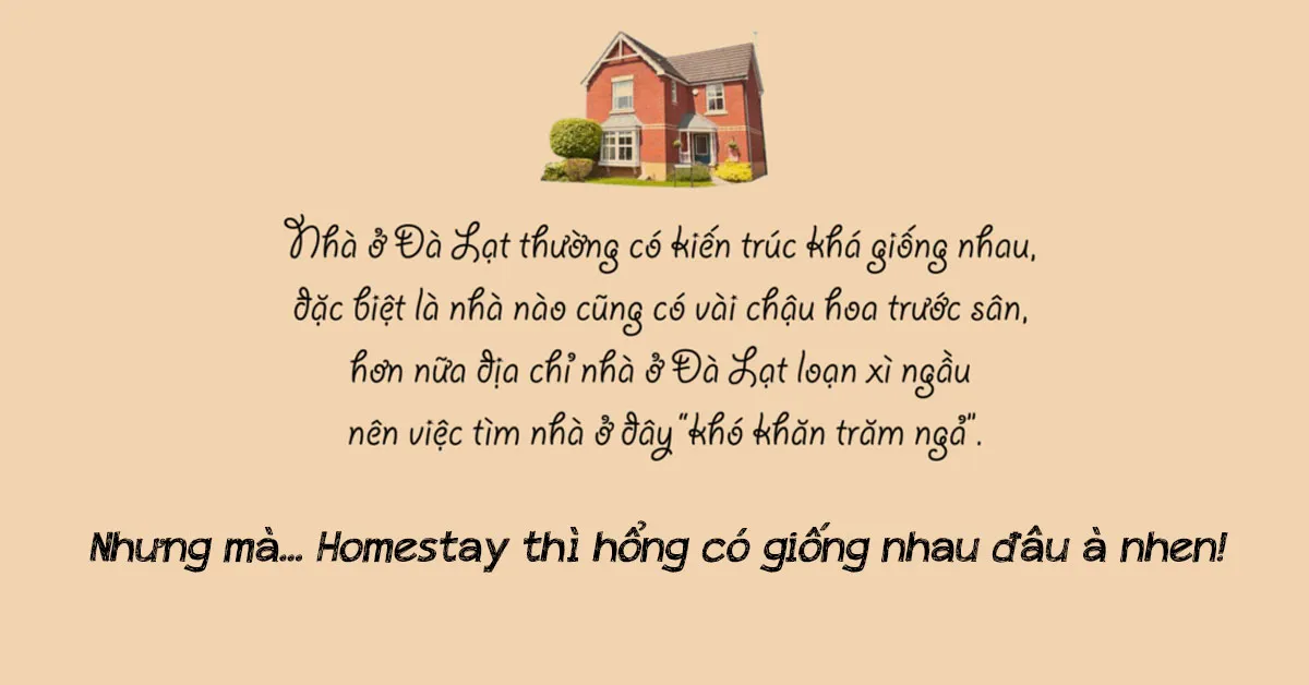 Gợi ý về homestay Đà Lạt cho những ai đang cần một không gian dịu dàng ấm áp