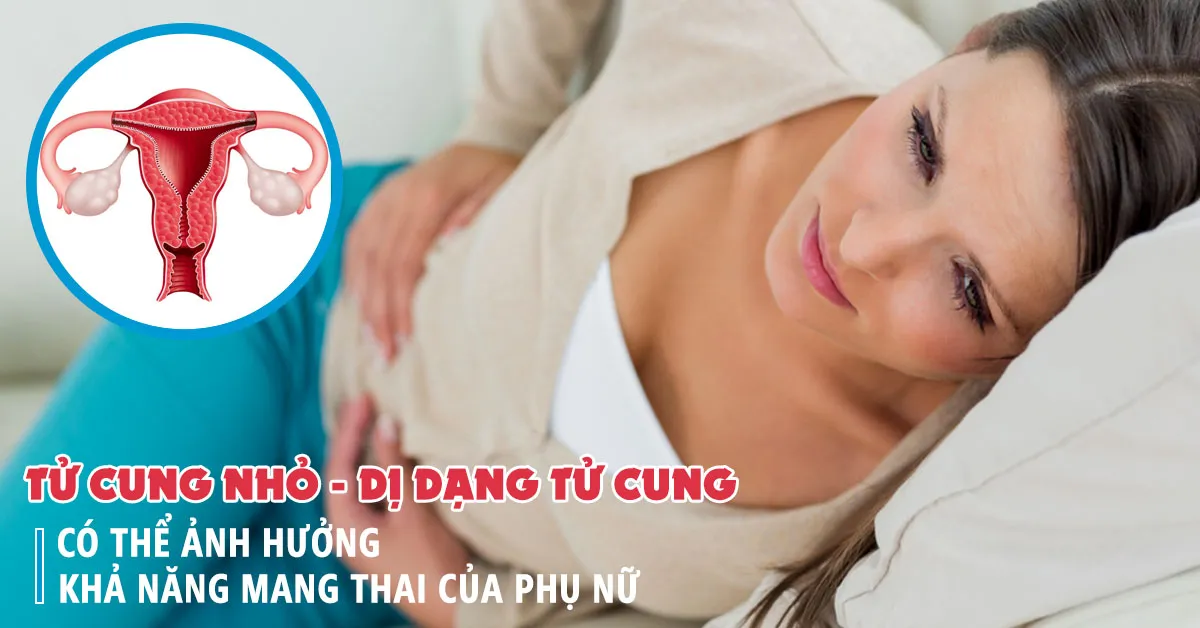 Tử cung nhỏ ảnh hưởng đến khả năng mang thai như thế nào?