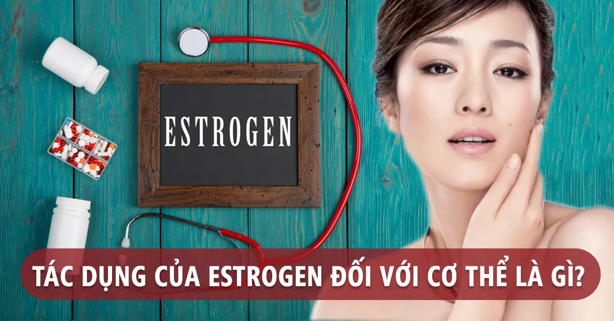 Estrogen là gì? Dấu hiệu giúp bạn nhận biết cơ thể đang thiếu estrogen