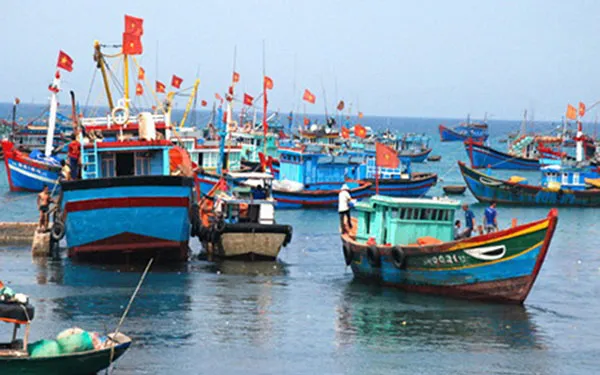 Tin biển đảo ngày 12/07/2019: Chấm dứt khai thác hải sản trái phép ở vùng biển nước ngoài