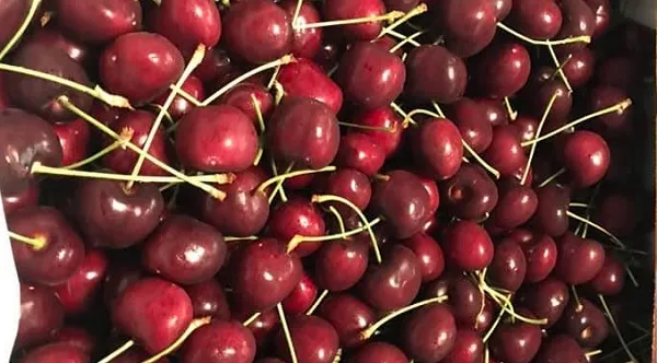 Giá cả thị trường hôm nay 15/7/2019: Cherry Mỹ vào mùa, giá giảm