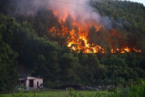 Bình luận: Hậu quả lớn từ sơ suất nhỏ