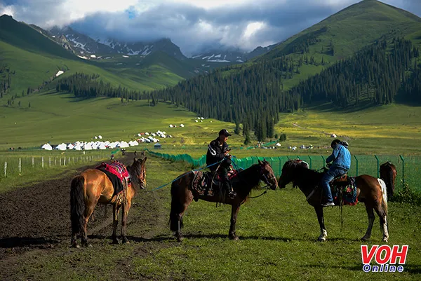[Video] Choáng ngợp với vẻ đẹp của ngôi làng và thảo nguyên đẹp nhất Tân Cương 