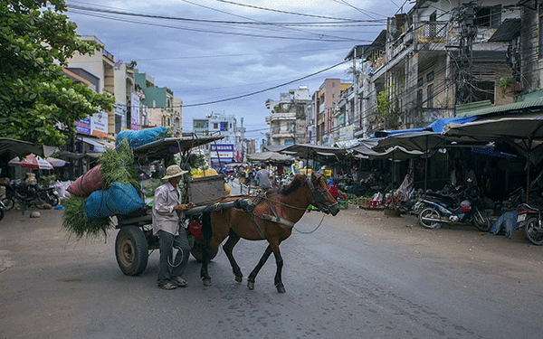 Những góc nhìn mới về vùng đất Phú Yên, Bình Định