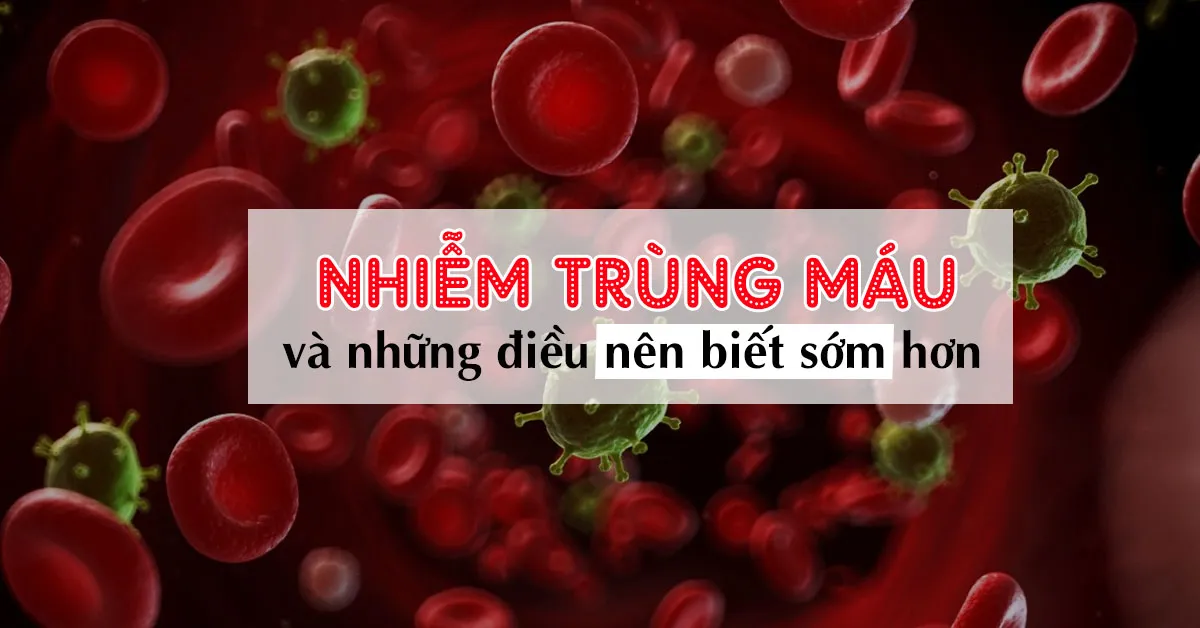 Nhiễm trùng máu và những điều nên biết về loại nhiễm trùng nguy hiểm này