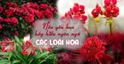 Ý nghĩa của các loài hoa đẹp trong cuộc sống và tình yêu