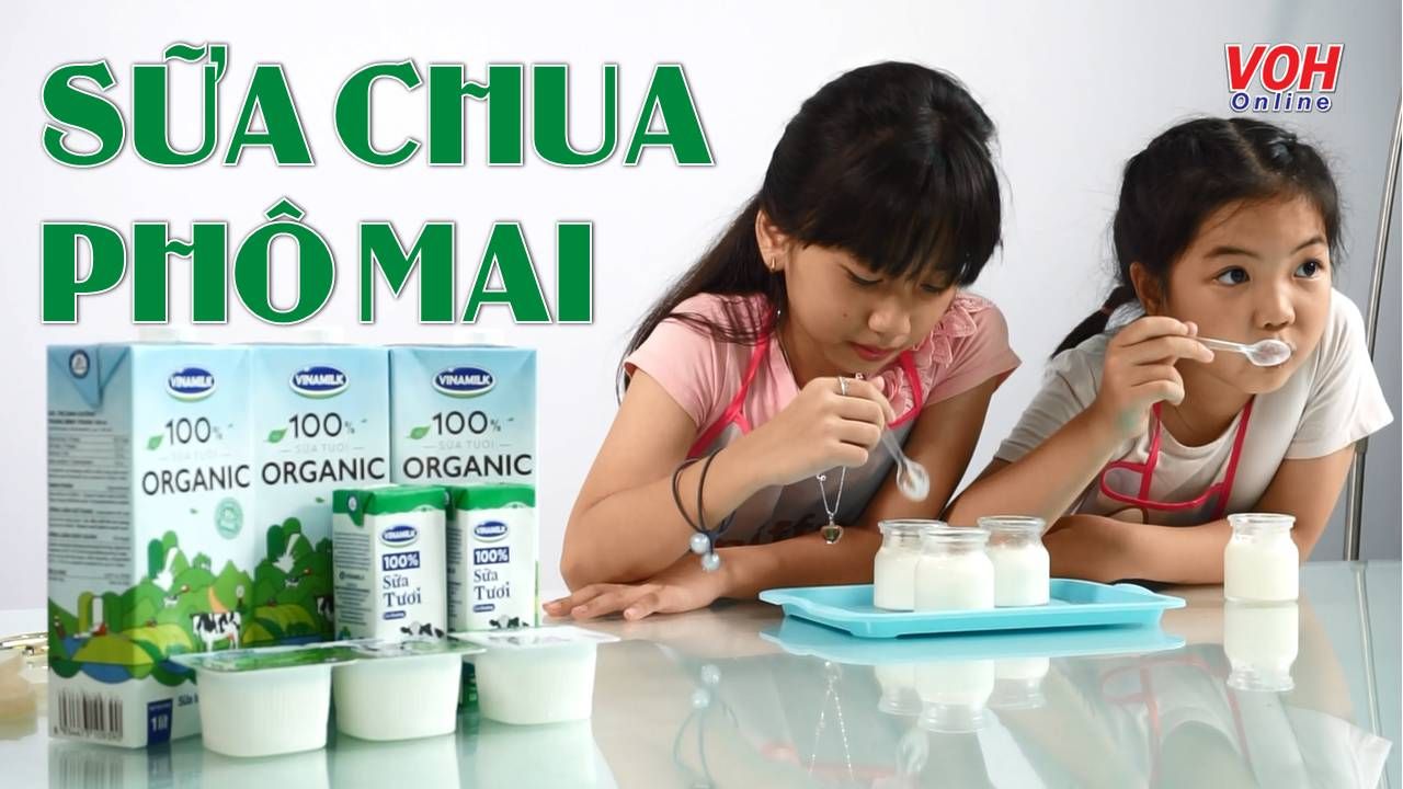 Cùng con vào bếp (Số 22): Sữa chua phô mai