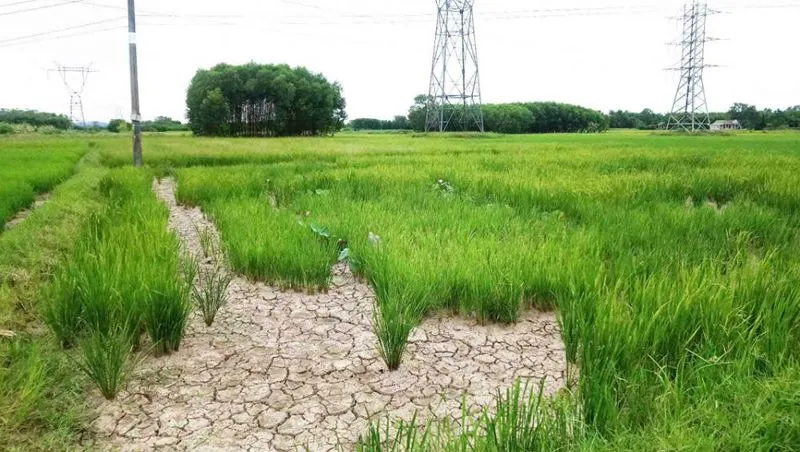 Dự báo thời tiết hôm nay 14/8: Bắc Bộ, Trung Bộ vẫn nắng nóng gay gắt