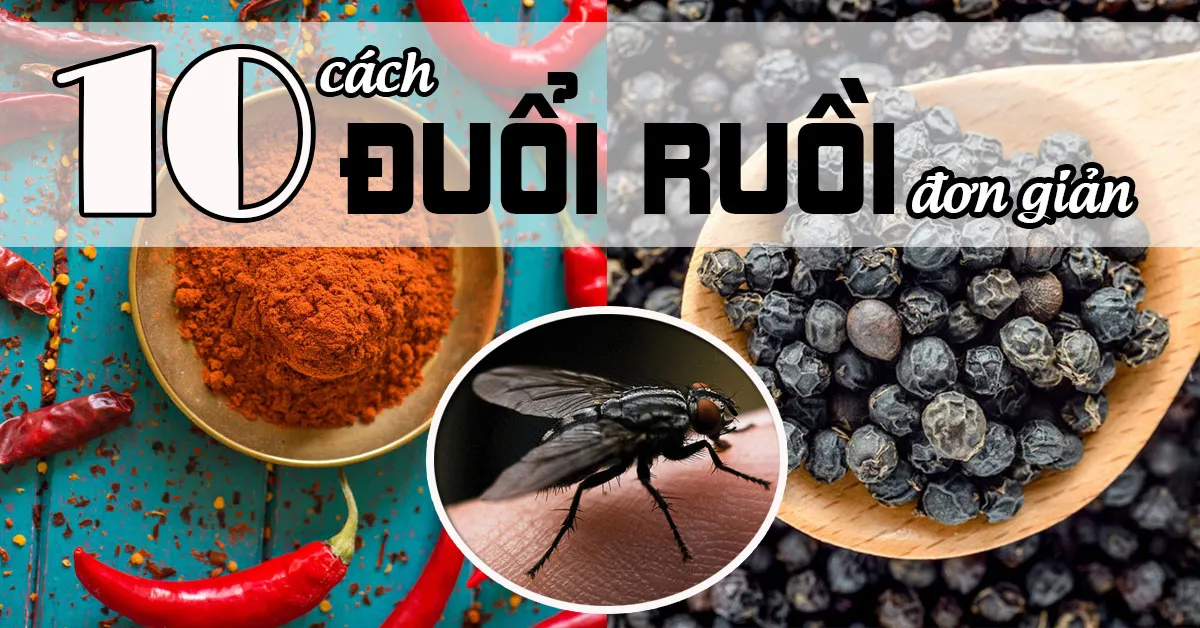 10 cách đuổi ruồi an toàn và đơn giản