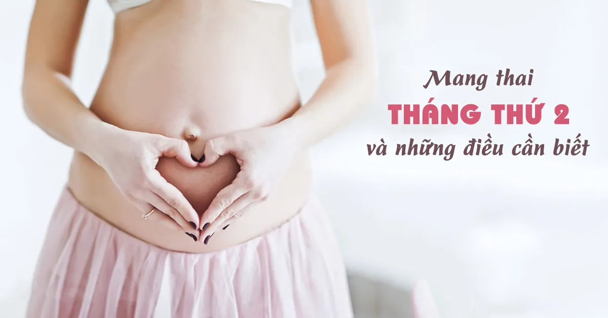 3 điều quan trọng phụ nữ nên biết khi mang bầu 2 tháng