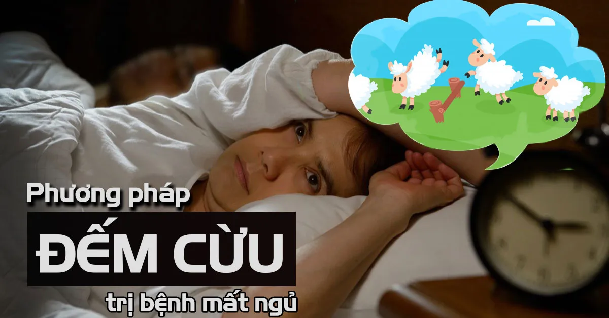 Đếm cừu là gì? Phương pháp đếm cừu tránh mất ngủ hiệu quả