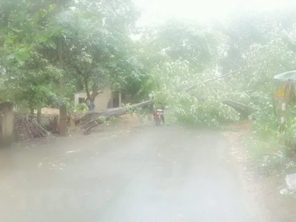 Dự báo thời tiết hôm nay 20/8: Bắc Bộ có nơi mưa to, Nam bộ mưa rào vào ban đêm