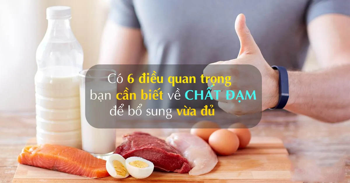 6 điều cần biết về chất đạm để cơ thể luôn khỏe mạnh cân bằng