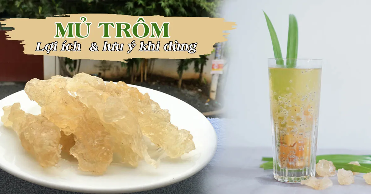 Tác dụng của mủ trôm và lưu ý về đối tượng không nên sử dụng