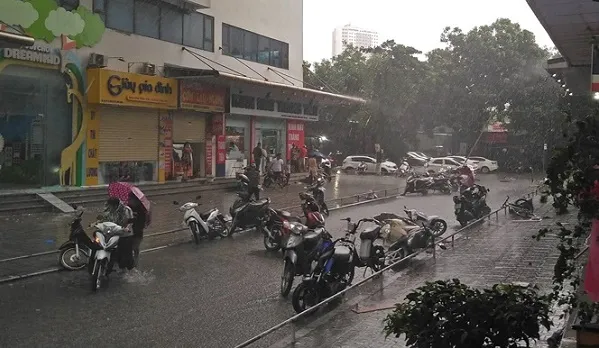 Mưa to, dông gió bất ngờ, Hà Nội cây đổ hàng loạt